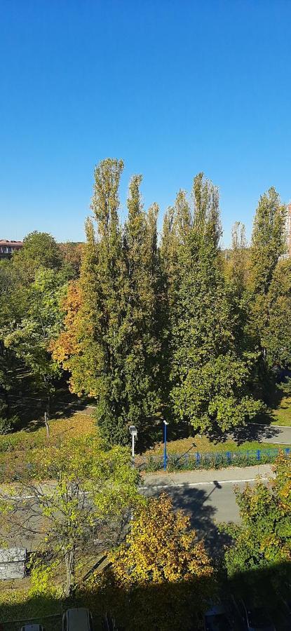 Apartment Student City, Wifi 300Mbs Belgrade Luaran gambar