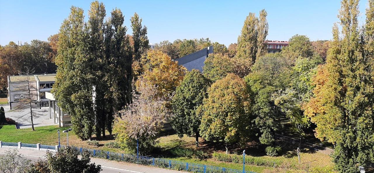 Apartment Student City, Wifi 300Mbs Belgrade Luaran gambar